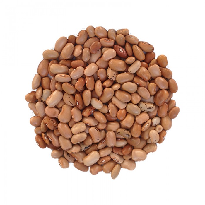 E-Ticaret Altyapısı | Güçlü ve Hazır Sistemler – SOLVES