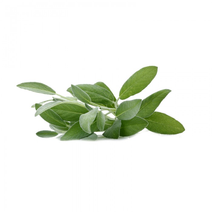 E-Ticaret Altyapısı | Güçlü ve Hazır Sistemler – SOLVES