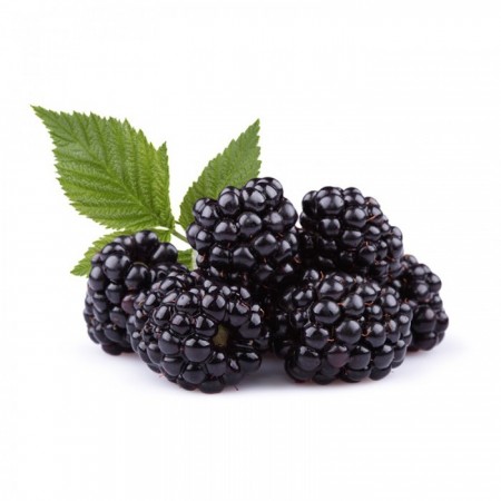 Test Organik Meyveler Ürünü 10